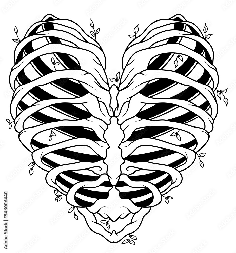 Human bones. Rib cage. Human ribs. Heart illustration isolated. Symbol