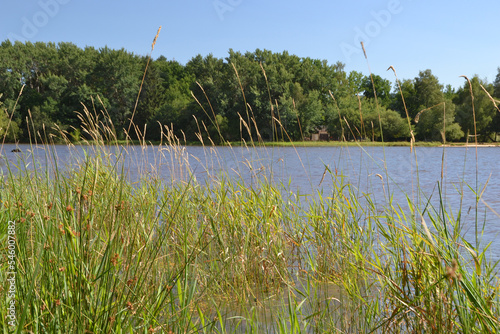 Lacs du Morvan, Lac de Saint-Agnan dans le Morvan