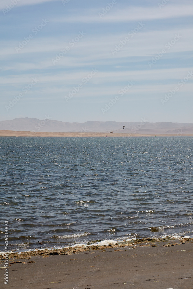 Paracas is a city on the west coast of Peru. It is known for its beaches, such as El Chaco, located in the sheltered bay of Paracas. The city is a jumping-off point to the uninhabited Ballestas Island
