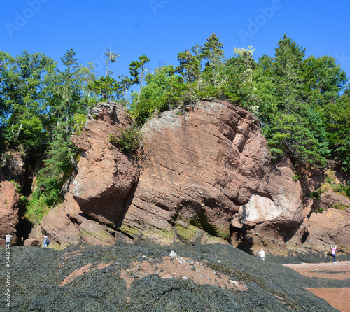 Hopewell Rocks Park in Canada, located on the shores of the Bay of Fundy in the North Atlantic Ocean