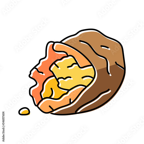 roasted sweet potato color icon vector illustration