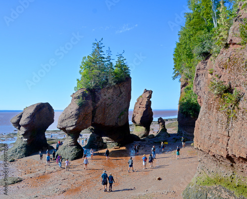 The ocean floor at low tide. Hopewell Rocks Park in Canada, located on the shores of the Bay of Fundy in the North Atlantic Ocean