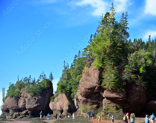 The ocean floor at low tide. Hopewell Rocks Park in Canada, located on the shores of the Bay of Fundy in the North Atlantic Ocean