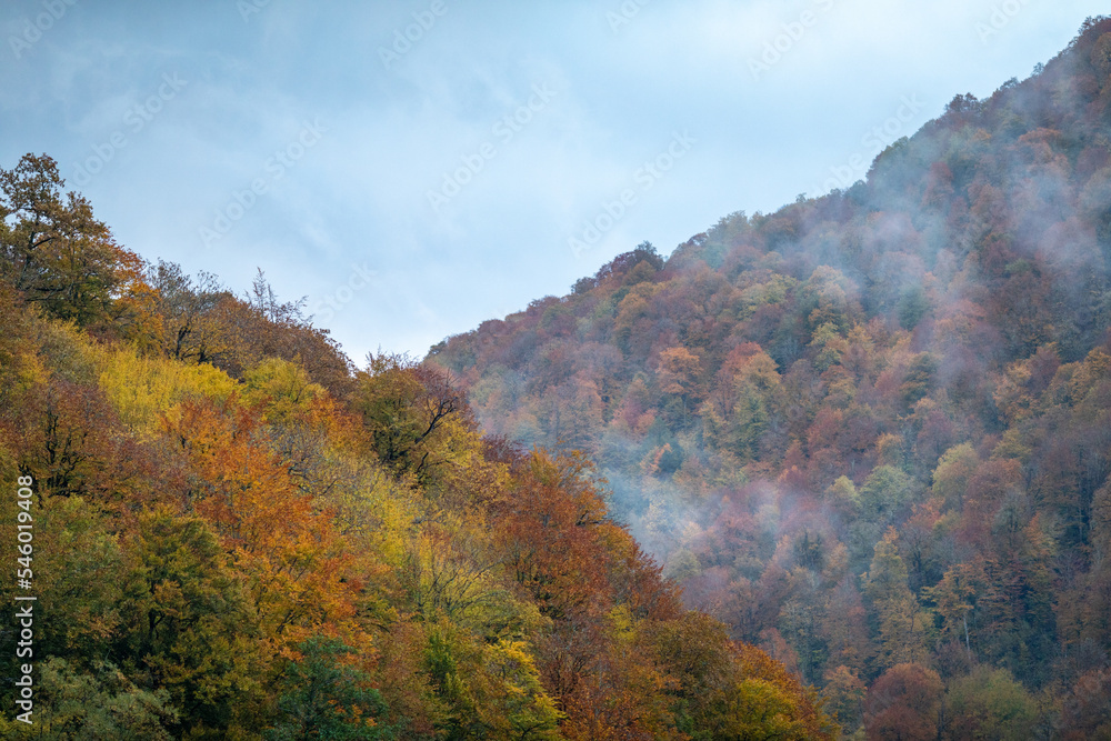 Autumn multicolor foliage on trees. Autumn landscape in the mountains. Fog in the mountains in autumn. Travel in the mountains in autumn. Mountain hiking among the picturesque slopes. Autumn multicolor foliage on trees. Autumn landscape in the mountains. Fog in the mountains in autumn. Travel in the mountains in autumn. Mountain hiking among the picturesque slopes.