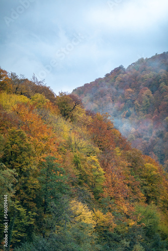 Autumn multicolor foliage on trees. Autumn landscape in the mountains. Fog in the mountains in autumn. Travel in the mountains in autumn. Mountain hiking among the picturesque slopes.