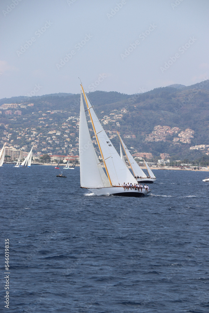 Fototapeta premium Cannes Classic Sailing Event