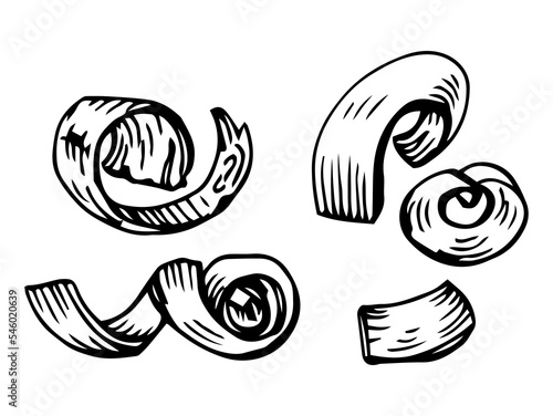 Wooden shavings or chips. Curly wood peel from carving and carpentry work, close up, detailed drawing. Lumber industry themed isolated hand drawn sketch illustration on white background.