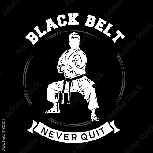 karate taekwondo kungfu logo badge vector