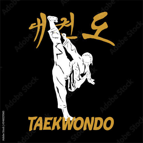 karate taekwondo kungfu logo badge vector