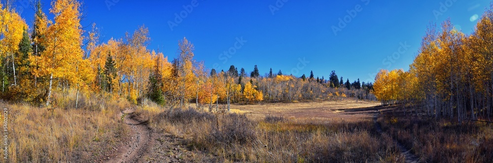 Pine Hollow hiking trail Mountain views by Timpanogos in the Wasatch Mountains Rocky Mountains, Utah. America.  