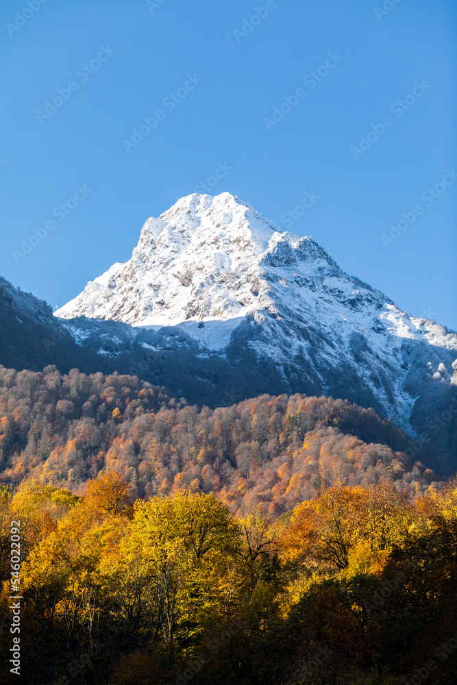 Autumn landscape in the mountains. Autumn forest and snow-covered mountain. Autumn multicolor foliage on trees. Autumn landscape in the mountains. Travel in the mountains. Mountain hiking