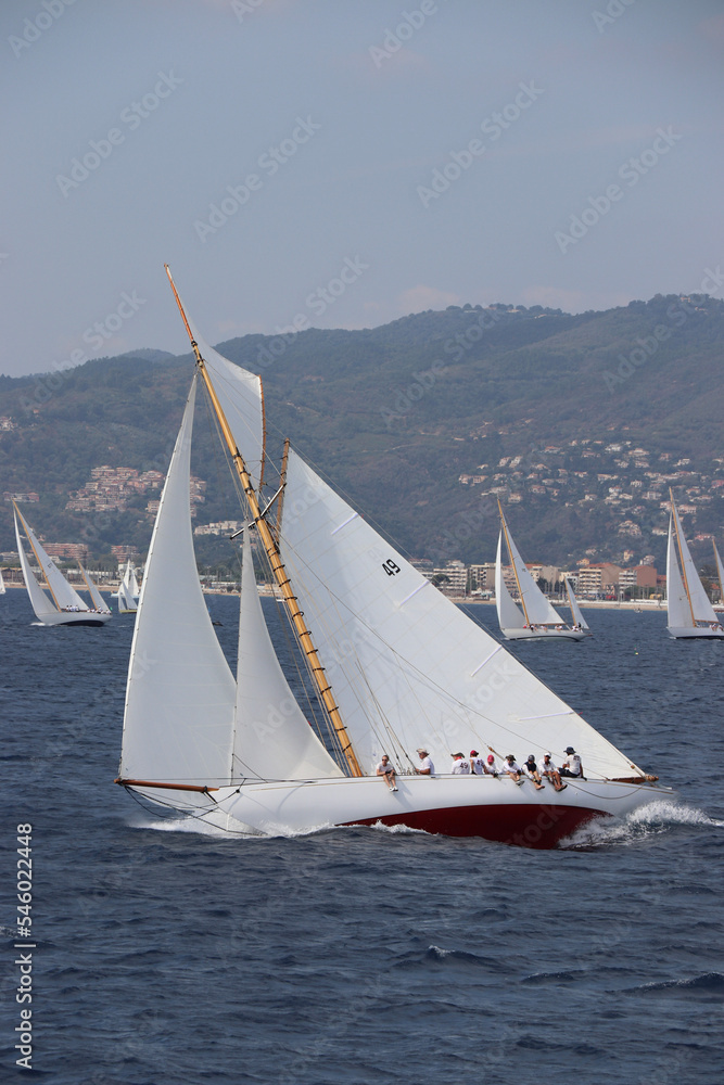 Fototapeta premium Cannes Classic Sailing Event