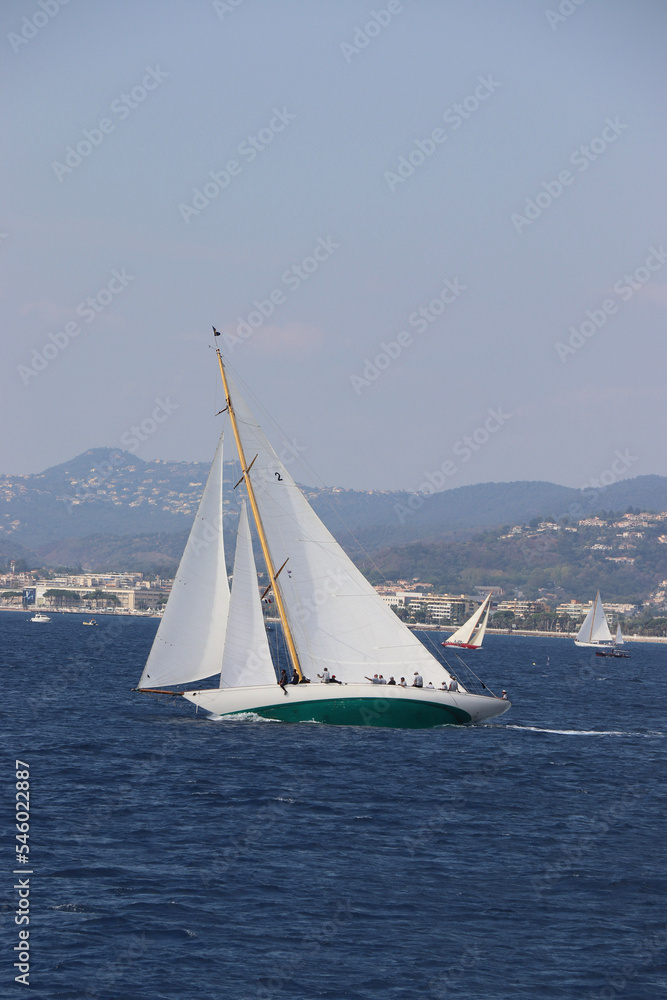 Fototapeta premium Cannes Classic Sailing Event