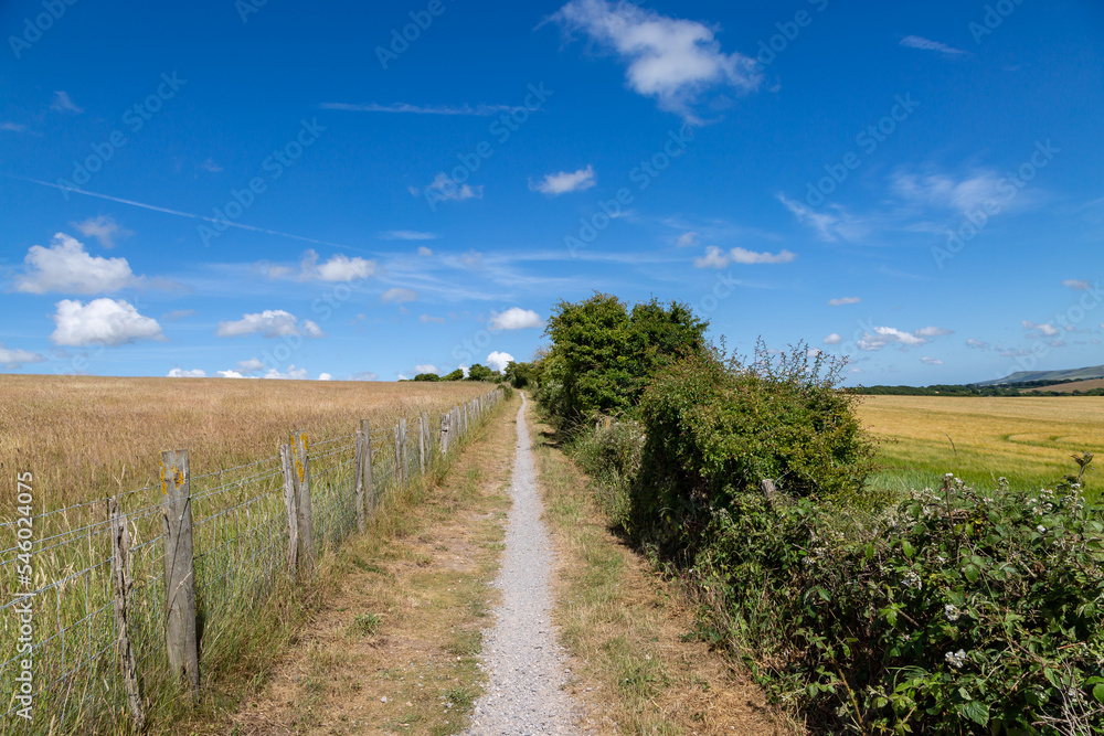 A Rural Sussex View Along a Footpath, on a Hot Summer's Day