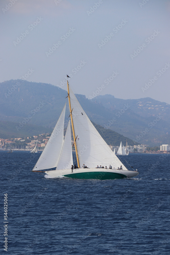 Fototapeta premium Cannes Classic Sailing Event