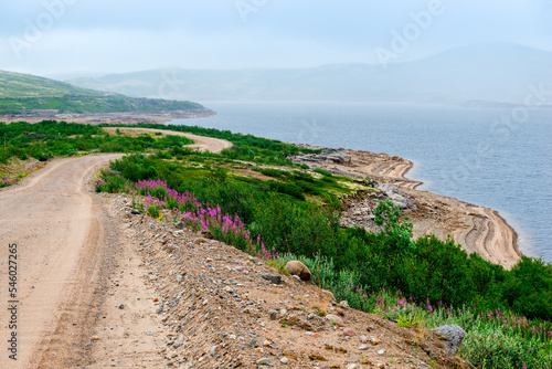 Fotografering Dirt road on the coast of the Arctic Ocean. Russia