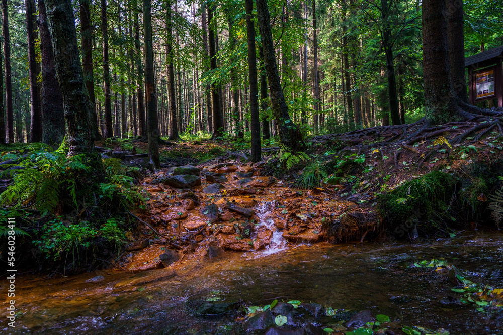 Eisenhaltige Quelle im Lausitzer Gebirge, Sirny Pramen 1 Eisenhaltige Quelle im Lausitzer Gebirge, Sirny Pramen 1