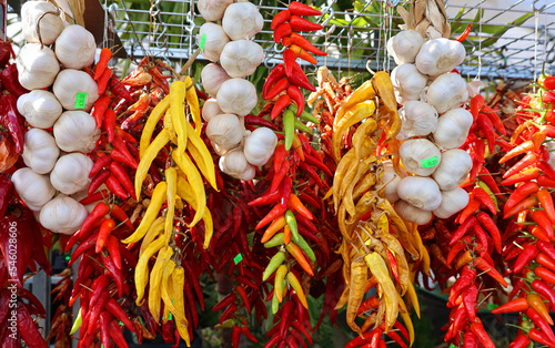 Dry peppers: Pimientos Choriceros, dry hot guindilla peppers, and Piparras-Basque green peppers hanging. photo