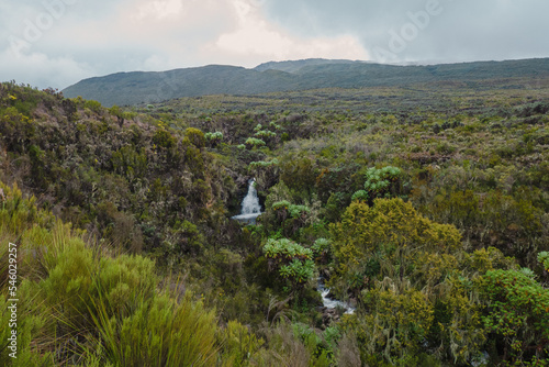 Scenic view of Nithi River in Chogoria Route, Mount Kenya National Park, Kenya photo