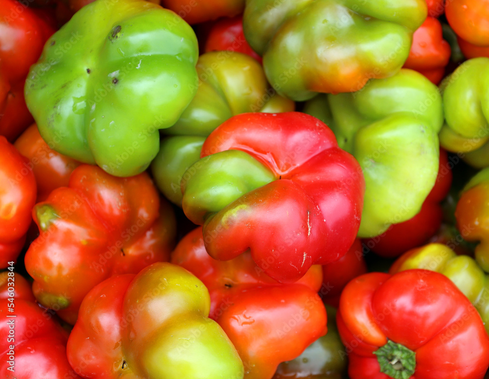 The Hot Cherry Bomb is medium heat pepper, similar to a jalapeno. These are a popular pickling peppers or enjoyed baked, grilled, or roasted. The Hot Cherry Bomb is medium heat pepper, similar to a jalapeno. These are a popular pickling peppers or enjoyed baked, grilled, or roasted.