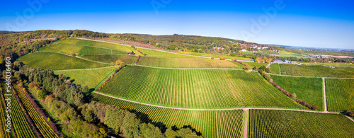 Weinberge im Rheingau im Herbst von oben (Drohne) an einem sonnigen Tag, nahe Kloster Eberbach