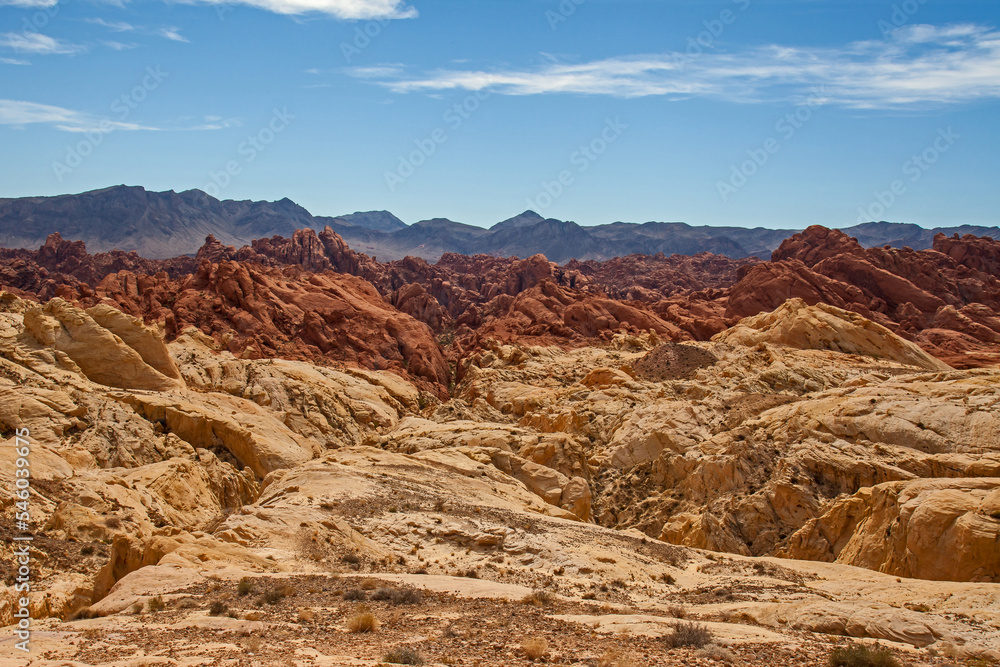 Fototapeta premium Valley of Fire State Park 2737