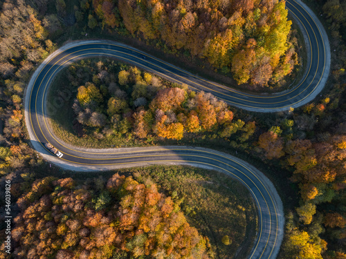 view of winding road among autumn colors.
