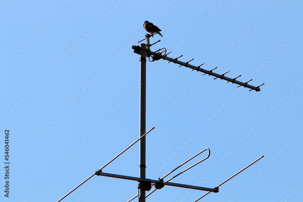 High antenna for emitting and receiving radio waves. High antenna for emitting and receiving radio waves.
