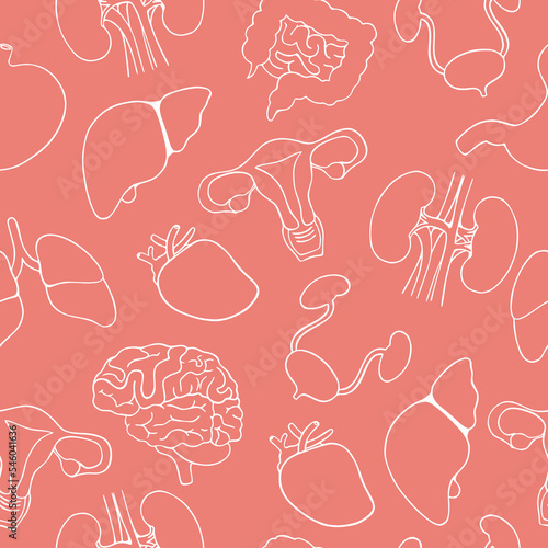 Human internal organs seamless pattern. Stomach, kidney, brain, lungs, heart, liver, uterus, intestine, bladder. Vector illustration in line art style isolated on background. Outline design