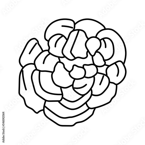 turkey tail mushroom line icon vector illustration