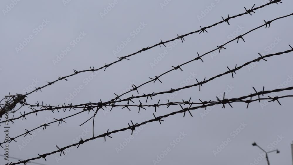 Bottom view of barbed wire against a gray dull sky. Illegal immigration concept, prison lifestyle, imprisonment, restricted area. High quality 4k footage Bottom view of barbed wire against a gray dull sky. Illegal immigration concept, prison lifestyle, imprisonment, restricted area. High quality 4k footage