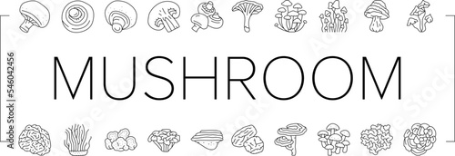 mushroom food forest fungi icons set vector
