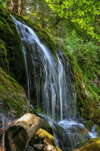 Fototapeta Naklejka Na Ścianę i Meble -  Vertical long exposure shot of a waterfall in a green forest
