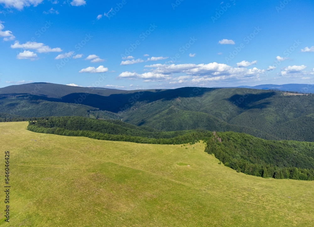 Scenic view of an alpine pasture at the edge of the forest