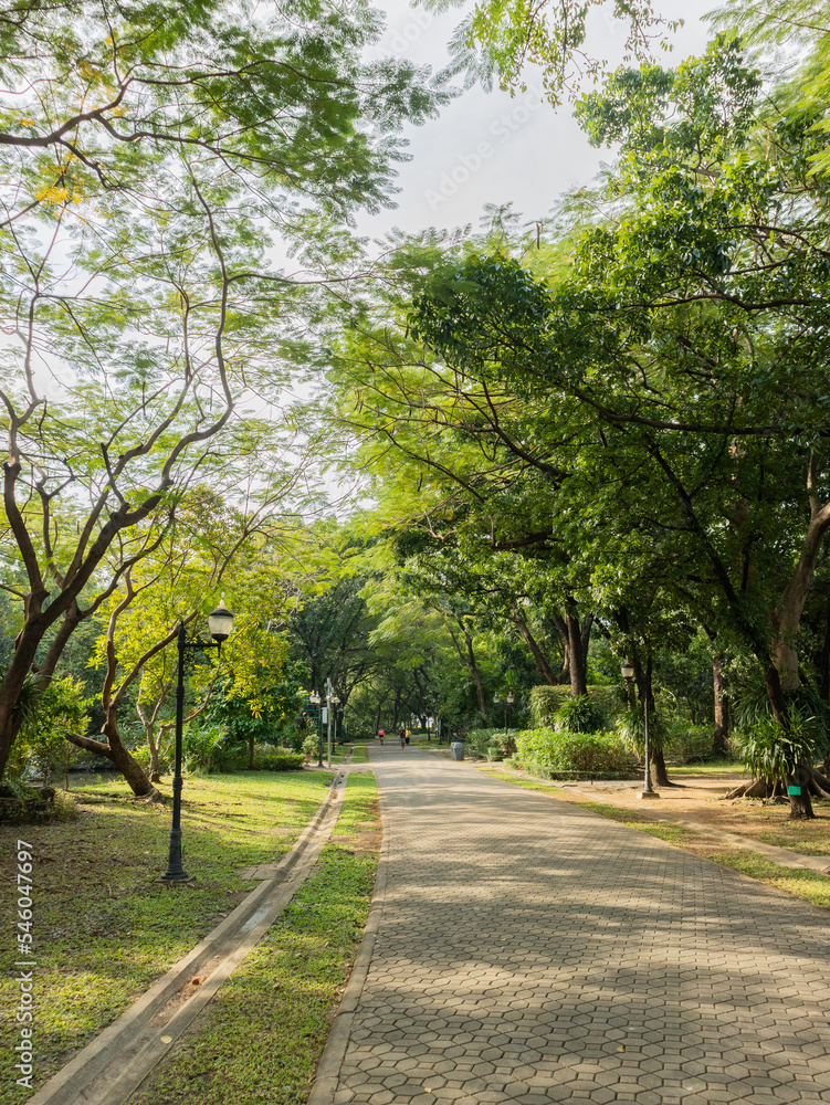 Vertical shot of an empty walking path in a park