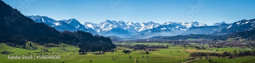 Panoramic shot of a green meadow with a snow-covered mountain range and a blue sky in the background