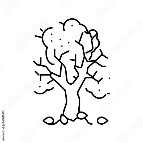 tree autumn line icon vector illustration