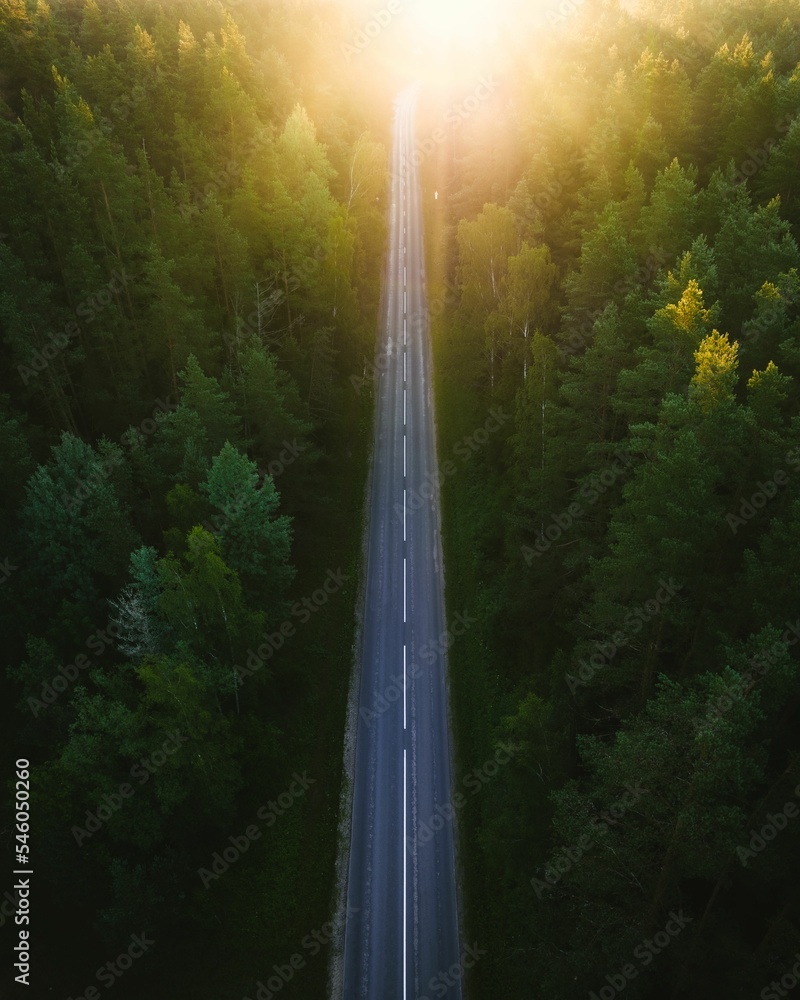 Naklejka premium Aerial view of a highway road through the green forest at dreamy sunlight, in a vertical shot