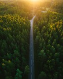 Aerial view of a highway road through the green forest at dreamy sunlight, in a vertical shot