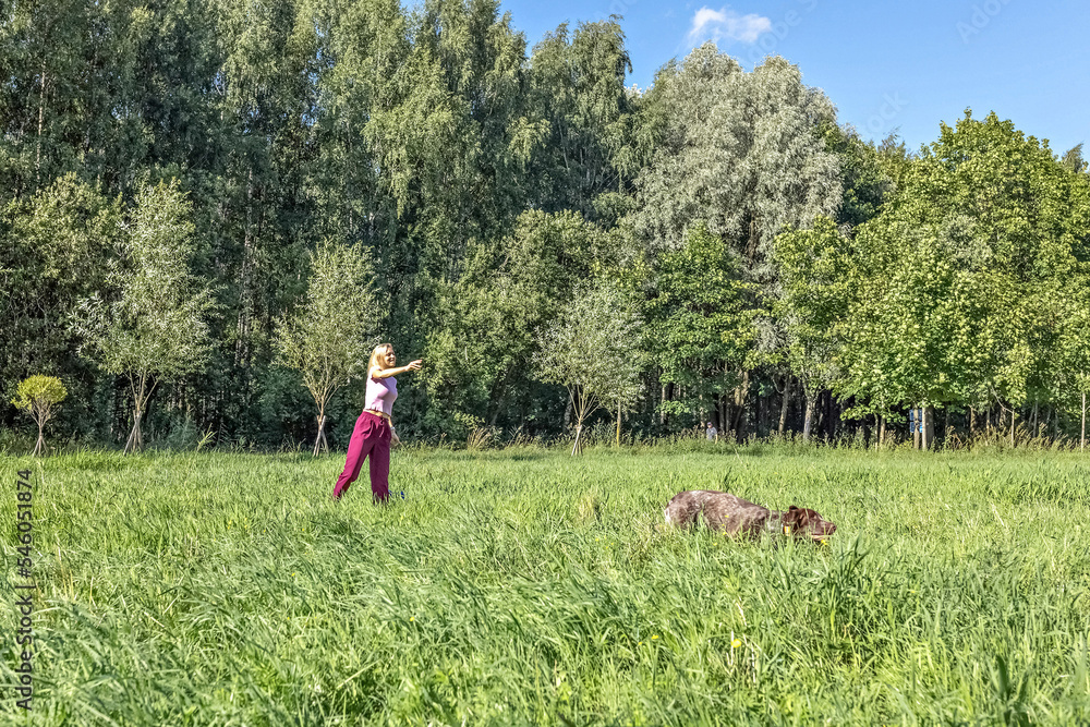 Portrait of a young blonde woman training a hunting dog of the Kurz-Haar breed in the park. summer time vacation Portrait of a young blonde woman training a hunting dog of the Kurz-Haar breed in the park. summer time vacation