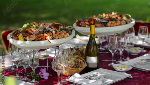 Plateaux de fruits de mer sur une table dress  e dans un jardin pour un repas de famille