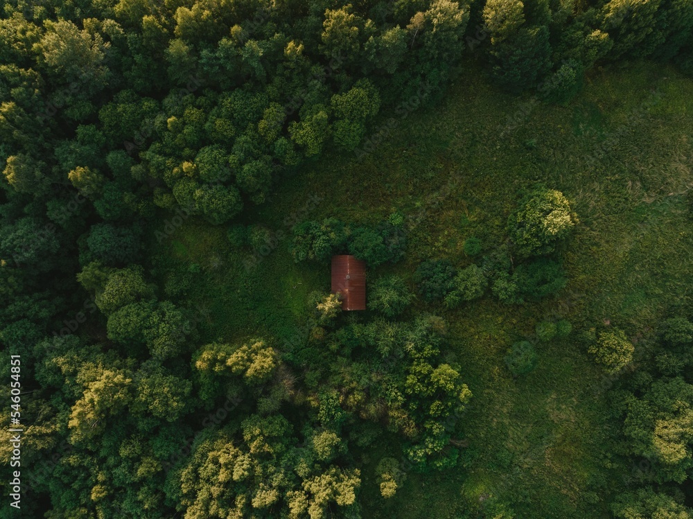 Aerial view of a house with a red roof in a forest on a sunny day, perfect for wallpapers
