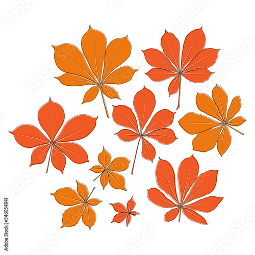 Set of vector chestnut leaf outline and coloured icon. Simple chestnut leaves illustration for logo. Realistic hand drawn leaves illustration set on white background.