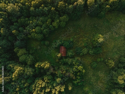 Aerial view of a house with a red roof in a forest on a sunny day, perfect for wallpapers © Kristaps Ungurs/Wirestock Creators