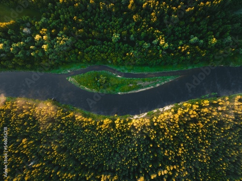 Aerial shot of a river with a tiny island in the middle of a forest
