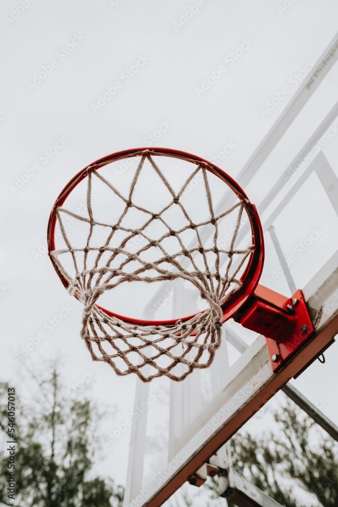 Vertical closeup of a basketball hoop.