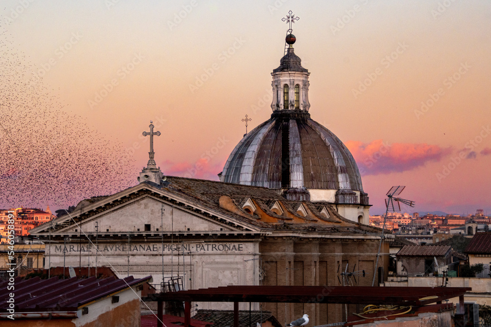 Birds flying over the roofs of Roma. Sant’Ignazio di Loyola curch at sunset, cityscape of Roma, Italy.
