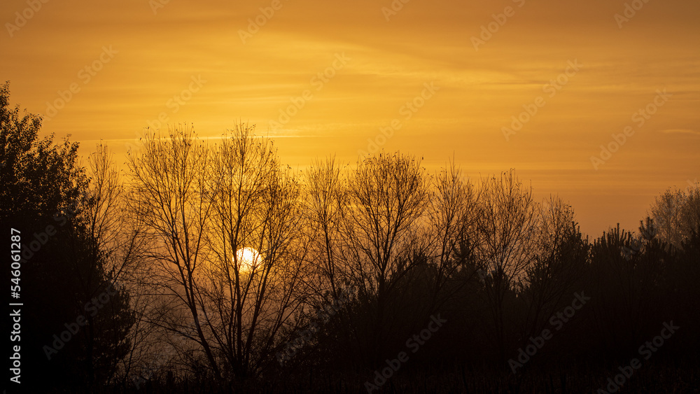 autumn foggy sunrise on a frosty morning