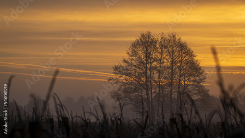 autumn foggy sunrise on a frosty morning © Marcin C