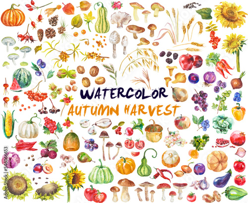 Watercolor fruits and vegetables isolated on white